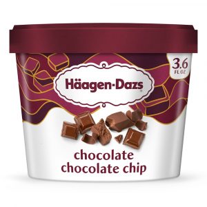 Haagen-Dazs Chocolate Chocolate Chip Ice Cream 3.6oz