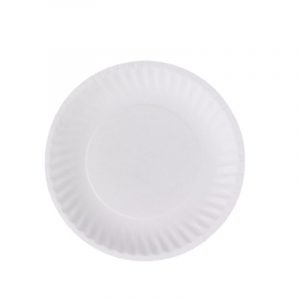 Uncoated Paper Plate 40