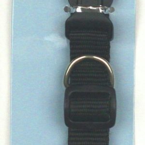 Greenbrier International Dog Collar (M) Black