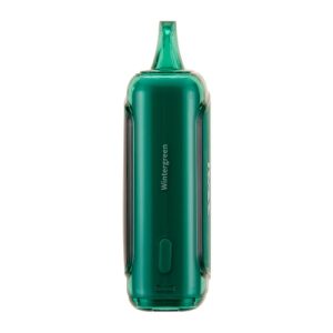Raz Wintergreen 15000 Puffs